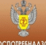   - Волчихинский район